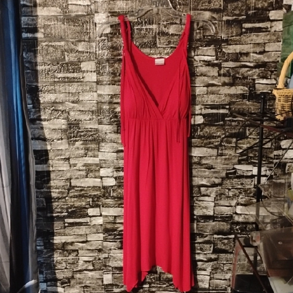 NoBoundaries Elegant Red Sleeveless Dress